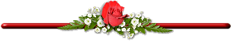Red Rose Divider