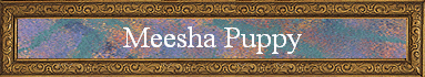 Meesha Puppy