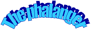The phalanger

