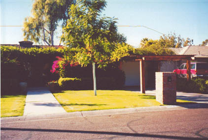 Center view