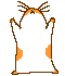 guin_anm.gif (3293 bytes)