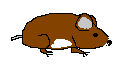 monty1g.gif (649 bytes)