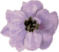 WW116