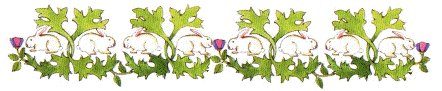 bunnies