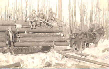 Winter-Logging