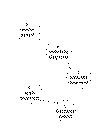 fig1ssmknowrep.gif (8715 bytes)