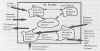 multiview1.jpg (58536 bytes)