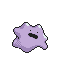 Ditto