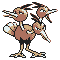 Dodrio