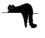 meow