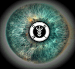 Canadian Neuro-Optic Research Institute