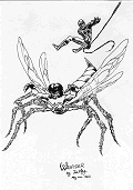 What if a radioactive Spider bite a Wondrous Wasp? Two of my favourite characters mixed together.
