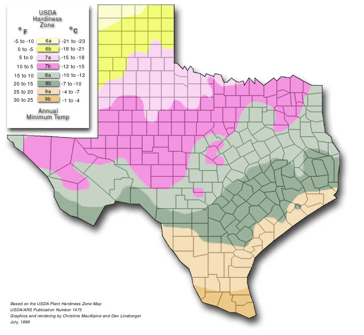 hardiness zone for Texas by county
