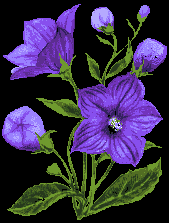 Weeping Flower