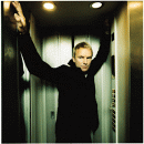 Sting