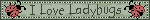 blgbl1a.gif
