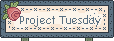 Project Tuesday