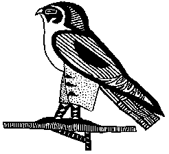 bird