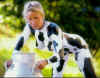 Zonyx Report Photo:  Wis. Farm Girl .JPG (66 KB)
