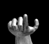 Zonyx Report Beckoning GifAnim
