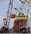 Zonyx Report Photo:  Loading Containers .JPG (9KB)
