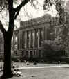 Zonyx Report Photo:  UWM's Mitchell Hall .JPG (12 KB)