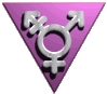 Trans Triangle