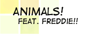 Animals! featuring Freddie!!
