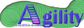 A_Tunnel_1.gif (18920 bytes)