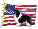 flagttri.gif (10449 bytes)