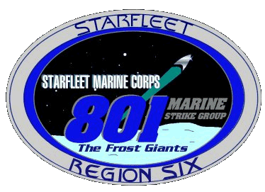 801st MSG Logo