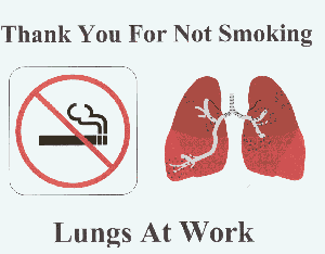 Smoking Cessation  The Effects Of Smoking