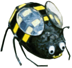 Bee