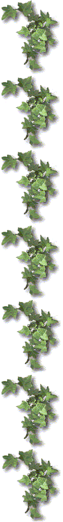 border