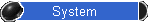 System