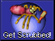 SCRUB THE WEB