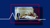 emergency medical information
