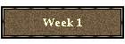 Week 1