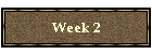 Week 2