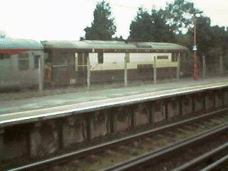 73101 Standing at Branch face of Down platform.