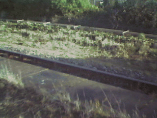 Hamworthy Goods line rescued from the weeds.