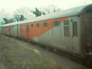 View along Trailing & Center coaches.