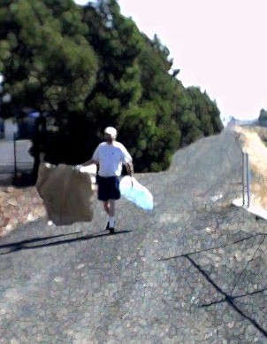 carrying off a big piece of cardboard