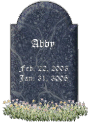 Abby