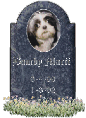Bamby Marii