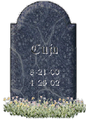 Cujo