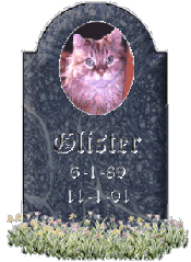 Glister