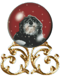 Lambchop's Snowglobe