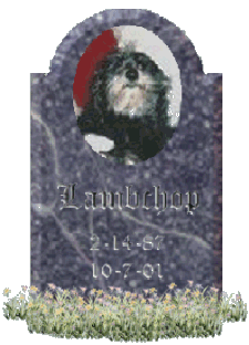Lambchop