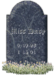 Miss Daisy